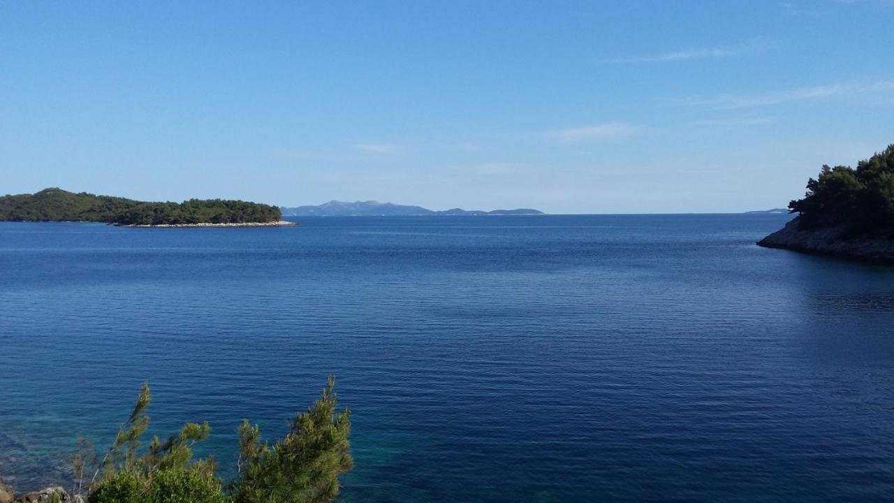 Apartments By The Sea Cove Zaglav, Korcula - 12208 Prizba Eksteriør billede